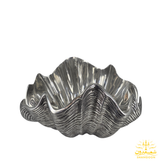 مپکو - میوه خوری صدف دریایی 440151