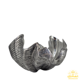 مپکو - میوه خوری صدف دریایی 440151