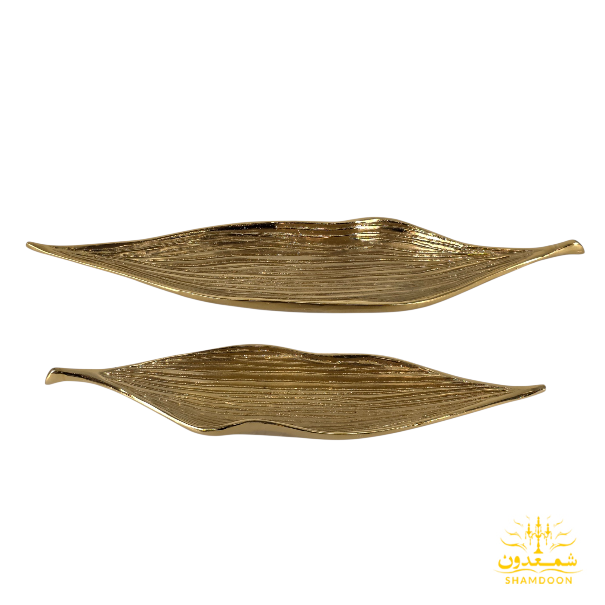 ظرف لوبیا