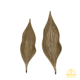 ظرف لوبیا