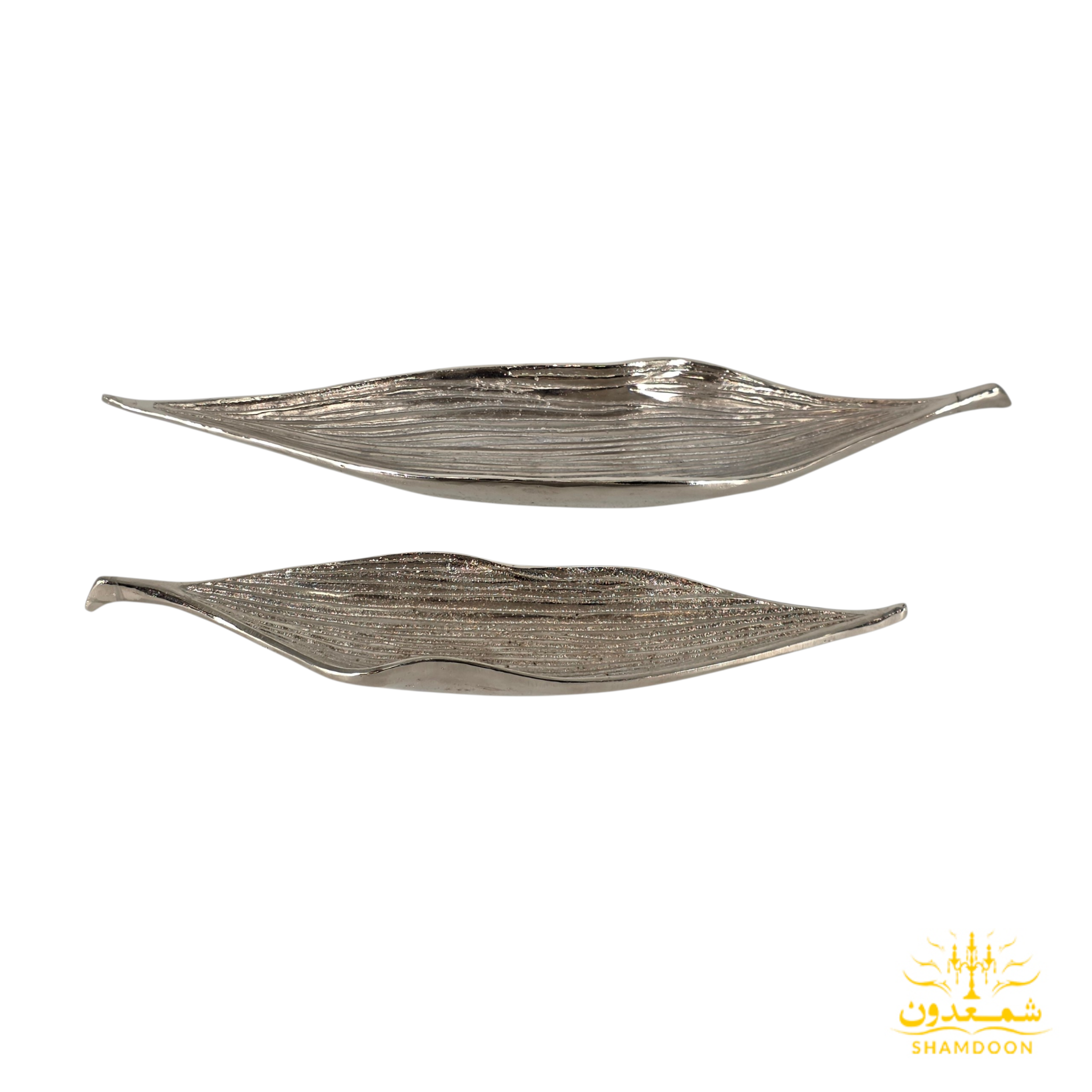 ظرف لوبیا